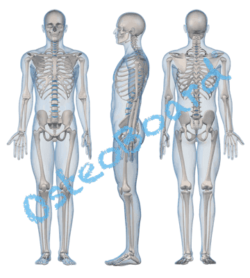 osteoboard-design